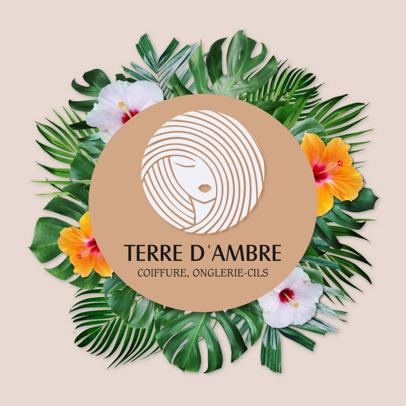 Logo profil Facebook Terre D'Ambre