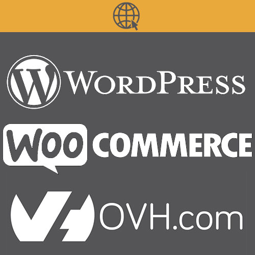 Création site internet, community manager réseaux sociaux à La Réunion