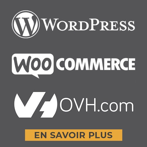 Création site internet, community manager réseaux sociaux à La Réunion