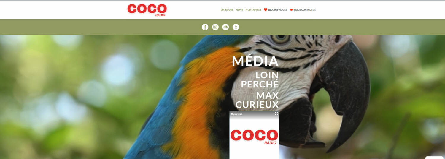 Création site internet, community manager réseaux sociaux à La Réunion