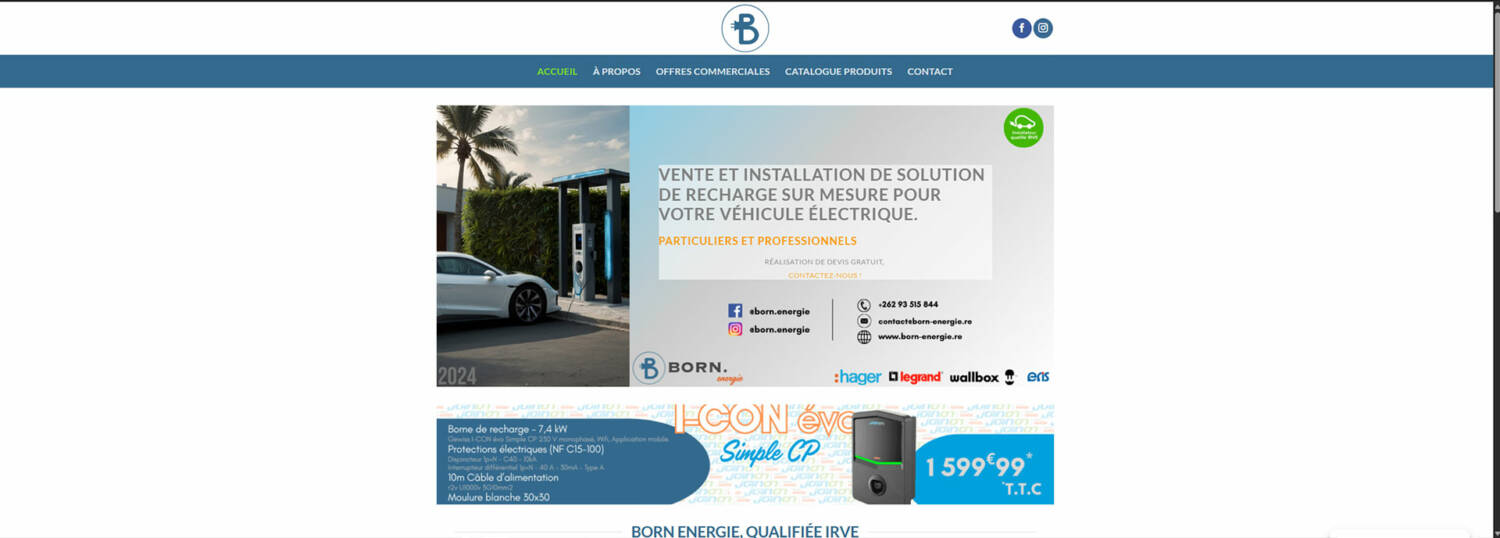 Création site internet, community manager réseaux sociaux à La Réunion