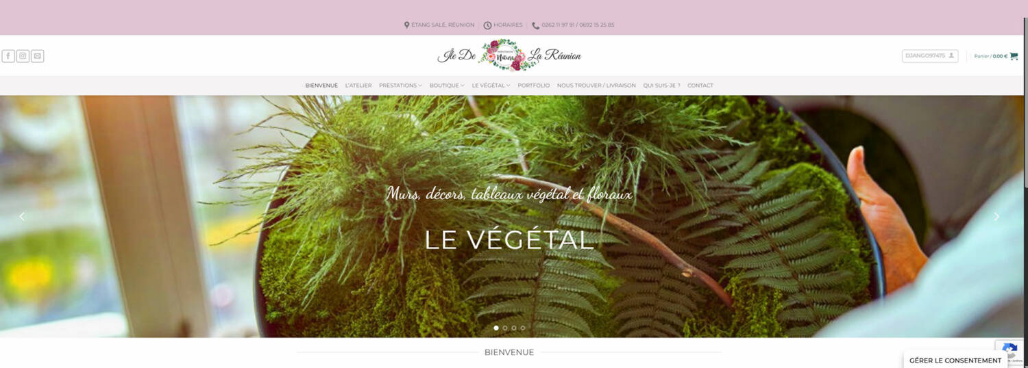 Création site internet, community manager réseaux sociaux à La Réunion