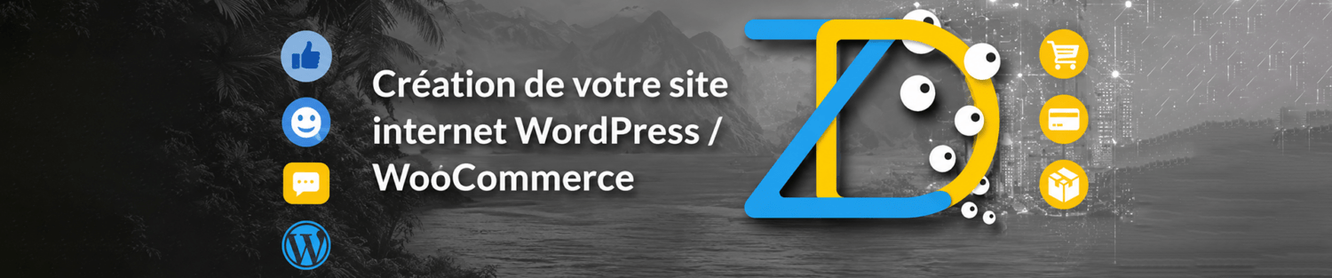 Création site internet, community manager réseaux sociaux à La Réunion
